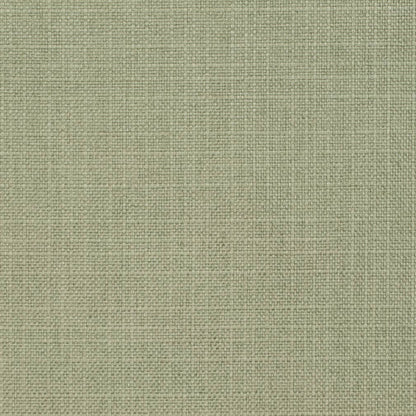 D3738 Plain & Solid Sage Green Charlotte Fabrics