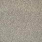 D3771 Animal Print Fossil Grey & Silver Charlotte Fabrics