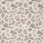 D3787 Animal Print Stone Grey & Silver Charlotte Fabrics