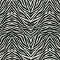 D3799 Animal Print Onyx Black Charlotte Fabrics