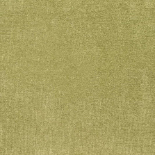 D3816 Plain & Solid Green Charlotte Fabrics Velvet
