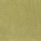 D3816 Plain & Solid Avocado Green Charlotte Fabrics