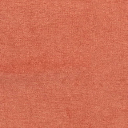 D3831 Plain & Solid Tangerine Orange & Rust Charlotte Fabrics