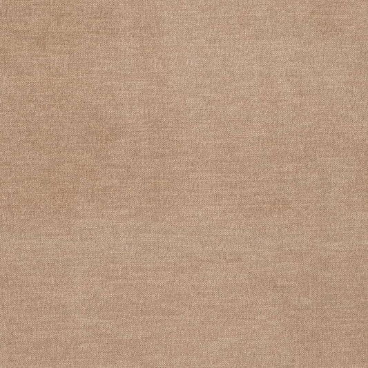 D3836 Plain & Solid Beige & Taupe Charlotte Fabrics Velvet