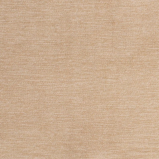 D3840 Plain & Solid Beige & Taupe Charlotte Fabrics Velvet