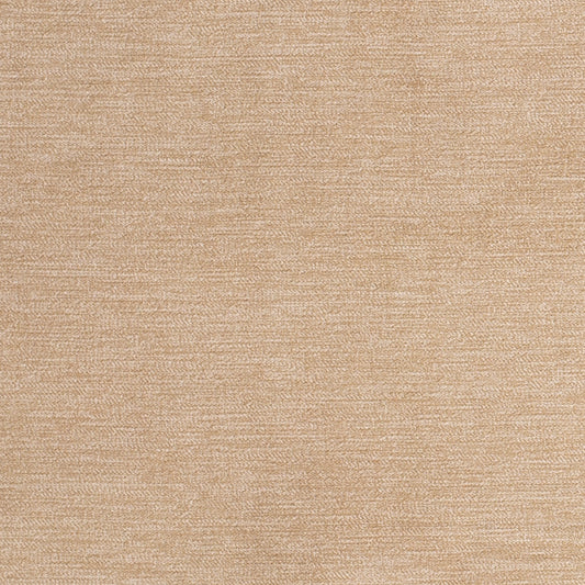D3840 Plain & Solid Harvest Beige & Taupe Charlotte Fabrics