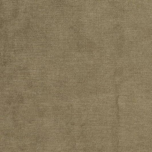 D3844 Plain & Solid Willow Green Charlotte Fabrics
