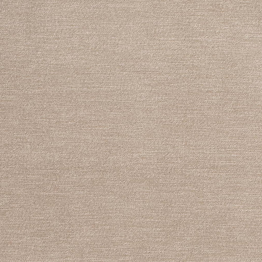 D3845 Plain & Solid Beige & Taupe Charlotte Fabrics Velvet