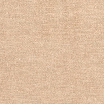 D3851 Plain & Solid Raffia Beige & Taupe Charlotte Fabrics