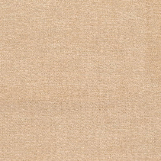 D3853 Plain & Solid Beige & Taupe Charlotte Fabrics Velvet