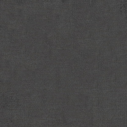 D3854 Plain & Solid Graphite Grey & Silver Charlotte Fabrics