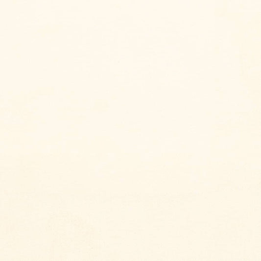 D3855 Plain & Solid White & Ivory Charlotte Fabrics Velvet