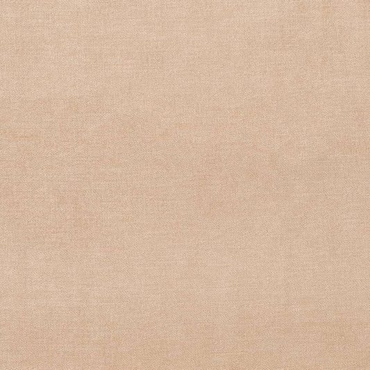 D3860 Plain & Solid Beige & Taupe Charlotte Fabrics Velvet