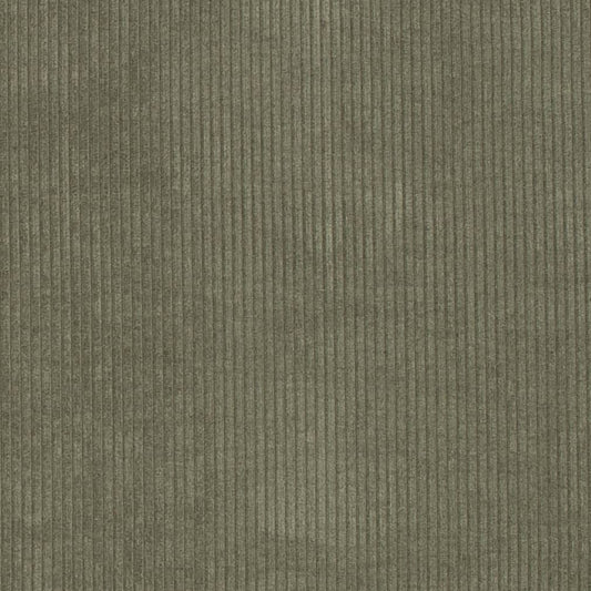 D3869 Plain & Solid,Small Scale,Stripe Moss Green Charlotte Fabrics
