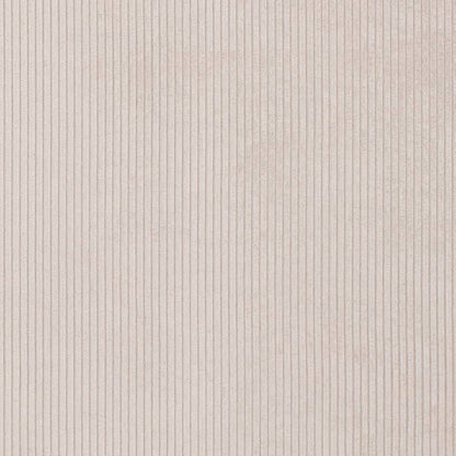 D3876 Plain & Solid,Small Scale,Stripe Sterling Grey & Silver Charlotte Fabrics