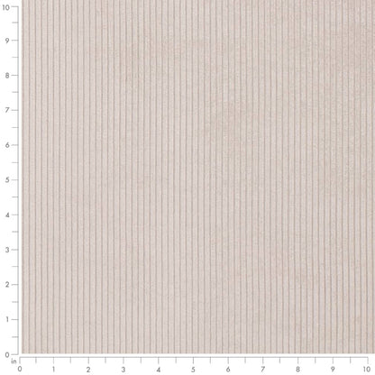 D3876 Plain & Solid,Small Scale,Stripe Sterling Grey & Silver Charlotte Fabrics