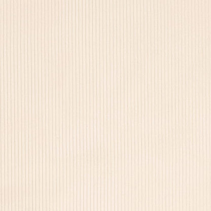 D3880 Plain & Solid,Small Scale,Stripe Coconut White & Ivory Charlotte Fabrics