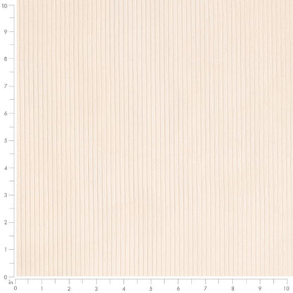 D3880 Plain & Solid,Small Scale,Stripe Coconut White & Ivory Charlotte Fabrics