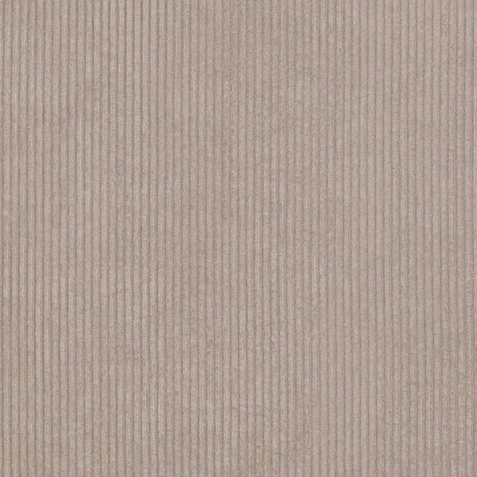 D3881 Plain & Solid,Small Scale,Stripe Stone Grey & Silver Charlotte Fabrics