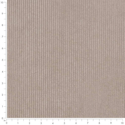 D3881 Plain & Solid,Small Scale,Stripe Stone Grey & Silver Charlotte Fabrics