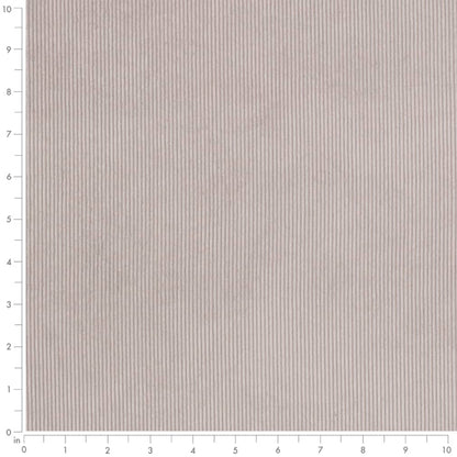 D3888 Plain & Solid,Small Scale,Stripe Fog Grey & Silver Charlotte Fabrics