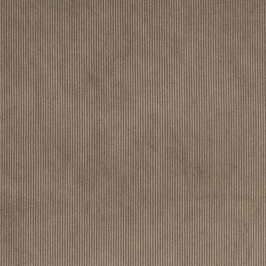 D3891 Plain & Solid,Small Scale,Stripe Mushroom Brown Charlotte Fabrics