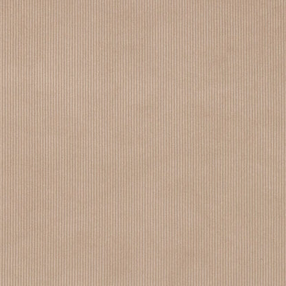 D3895 Plain & Solid,Small Scale,Stripe Taupe Beige & Taupe Charlotte Fabrics