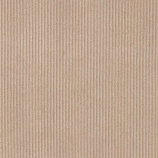 D3895 Plain & Solid,Small Scale,Stripe Beige & Taupe Charlotte Fabrics Chenille