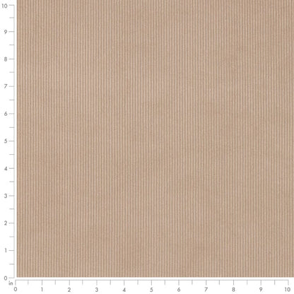 D3895 Plain & Solid,Small Scale,Stripe Taupe Beige & Taupe Charlotte Fabrics