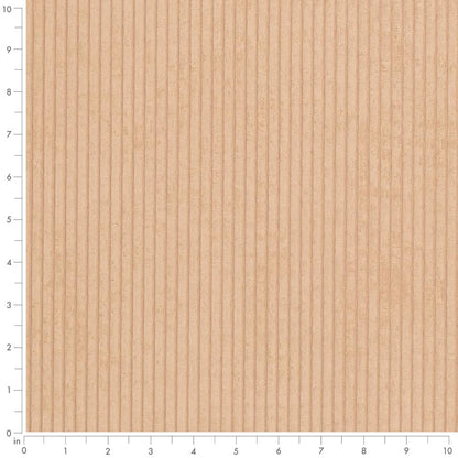 D3899 Plain & Solid,Small Scale,Stripe Beige Beige & Taupe Charlotte Fabrics