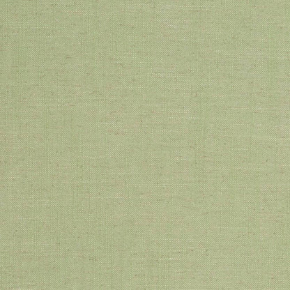 D3951 Plain & Solid Lime Green Charlotte Fabrics