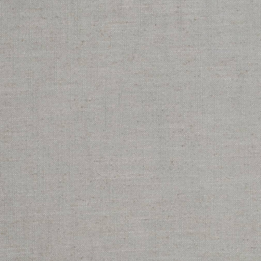 D3960 Plain & Solid Dove Grey & Silver Charlotte Fabrics