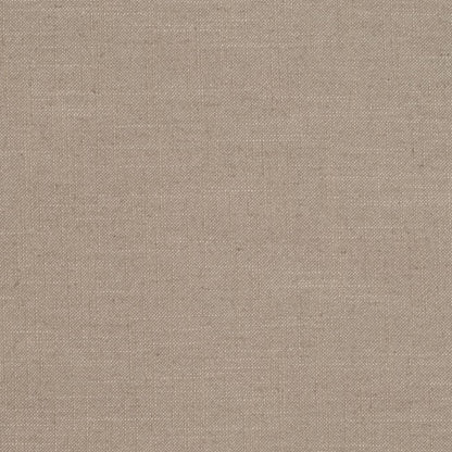 D3979 Plain & Solid Stone Beige & Taupe Charlotte Fabrics