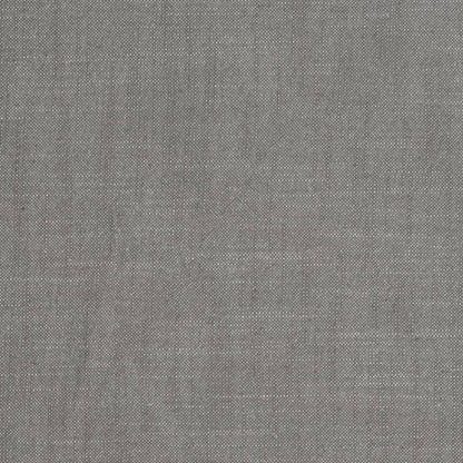 D3985 Plain & Solid Ash Grey & Silver Charlotte Fabrics