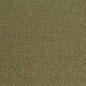 D4005 Plain & Solid Fern Green Charlotte Fabrics