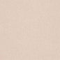 D4017 Plain & Solid Ash Beige & Taupe Charlotte Fabrics