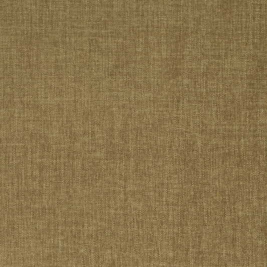 D4151 Plain & Solid Olive Green Charlotte Fabrics