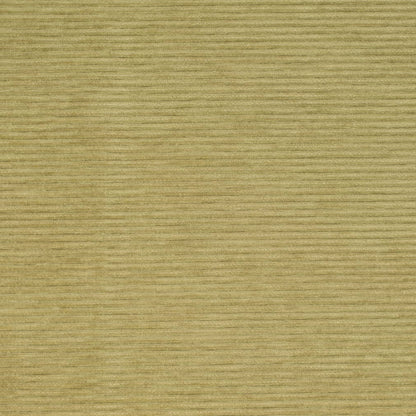 D4170 Plain & Solid Pear Green Charlotte Fabrics