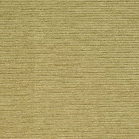 D4170 Plain & Solid Green Charlotte Fabrics Crypton,Velvet