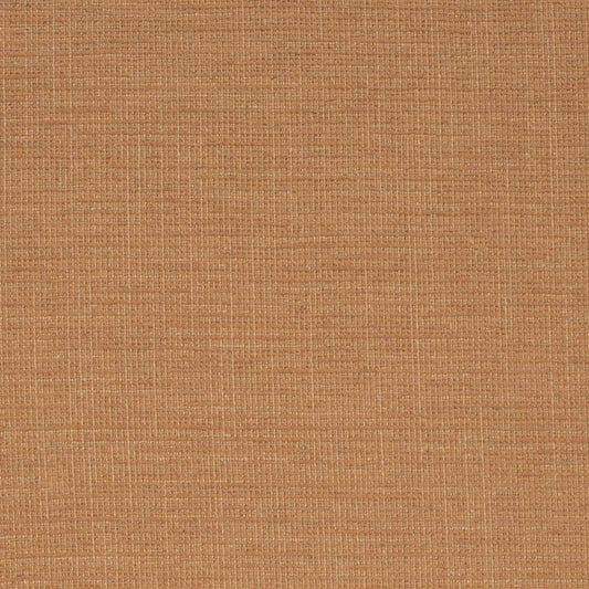 D4172 Plain & Solid Nutmeg Gold & Yellow Charlotte Fabrics