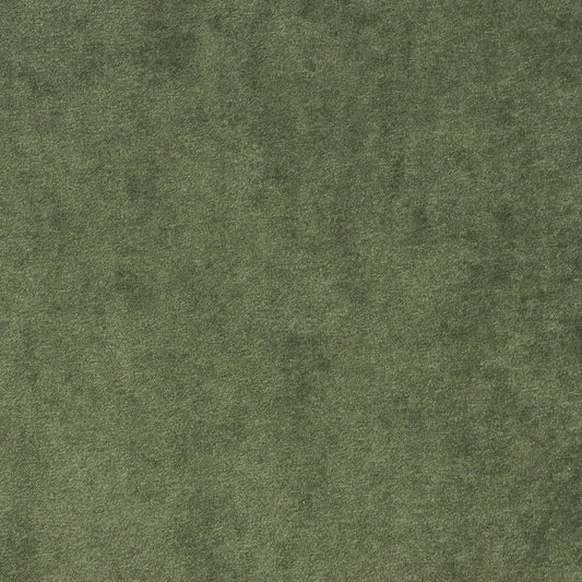 D4194 Plain & Solid Green Charlotte Fabrics Crypton,Velvet