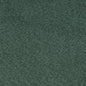 D4207 Plain & Solid Green Charlotte Fabrics Crypton,Shearling