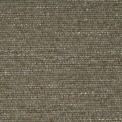 D4217 Plain & Solid Basil Green Charlotte Fabrics