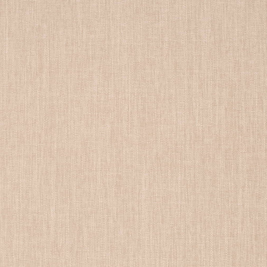 D4227 Plain & Solid Bone Beige & Taupe Charlotte Fabrics