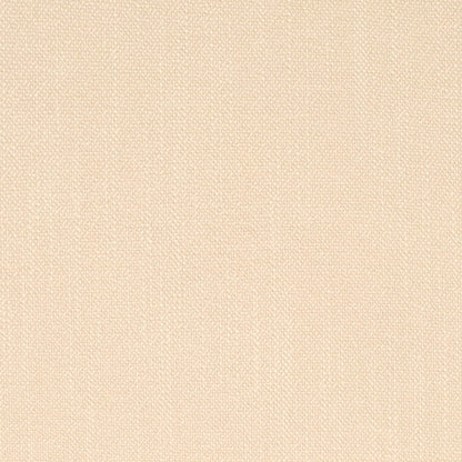 D4251 Plain & Solid Putty Beige & Taupe Charlotte Fabrics