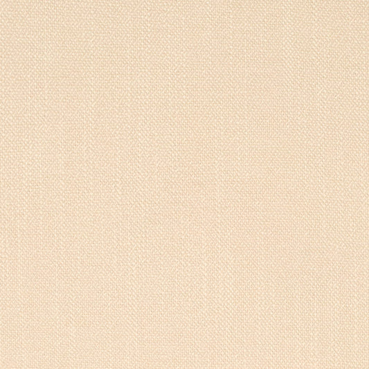 D4251 Plain & Solid Putty Beige & Taupe Charlotte Fabrics