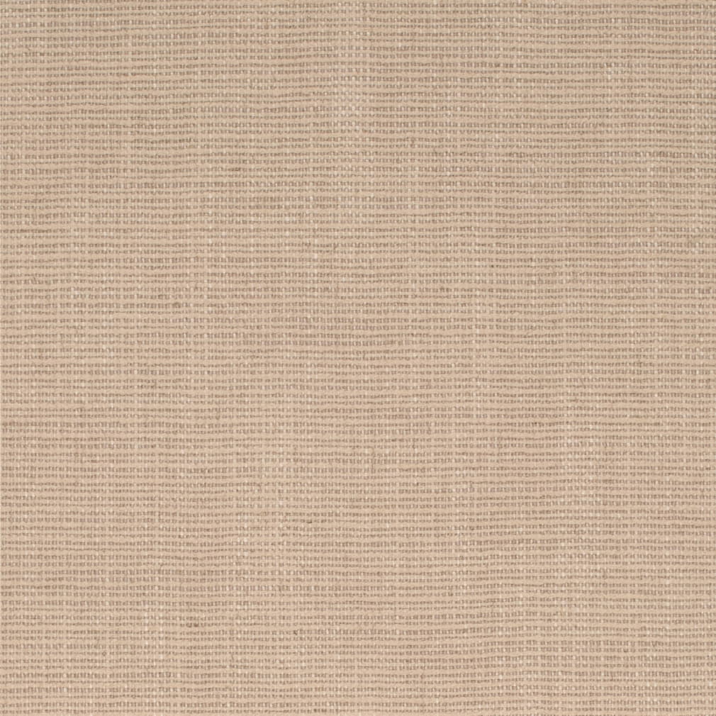 D4253 Plain & Solid Wheat Beige & Taupe Charlotte Fabrics