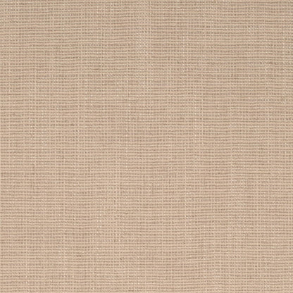 D4253 Plain & Solid Wheat Beige & Taupe Charlotte Fabrics