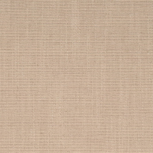 D4253 Plain & Solid Wheat Beige & Taupe Charlotte Fabrics