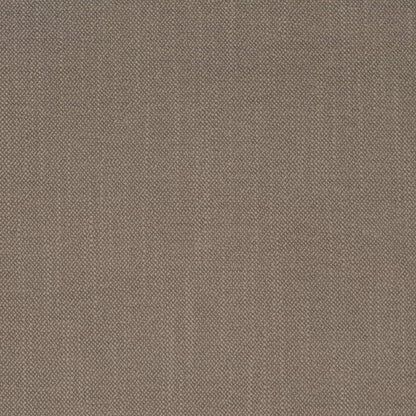 D4257 Plain & Solid Pumice Grey & Silver Charlotte Fabrics